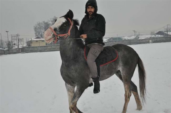 Company is looking for food delivery person riding on horse in heavy rain