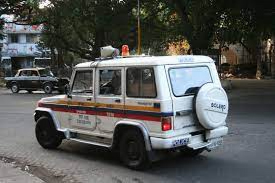 In three years, 54 criminals were punished