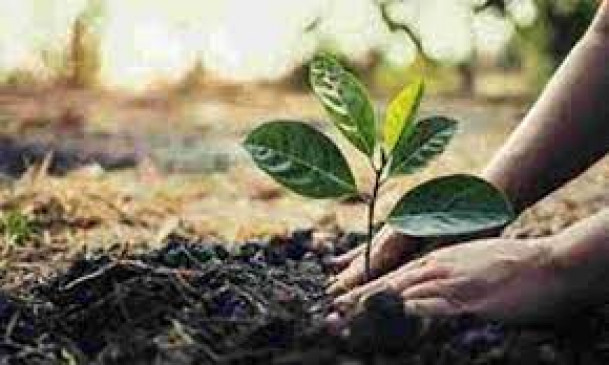 Message of planting a tree given from one sapling one selfie venture