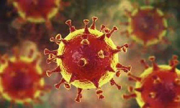Mild symptoms of cold, cough, fever in newly infected