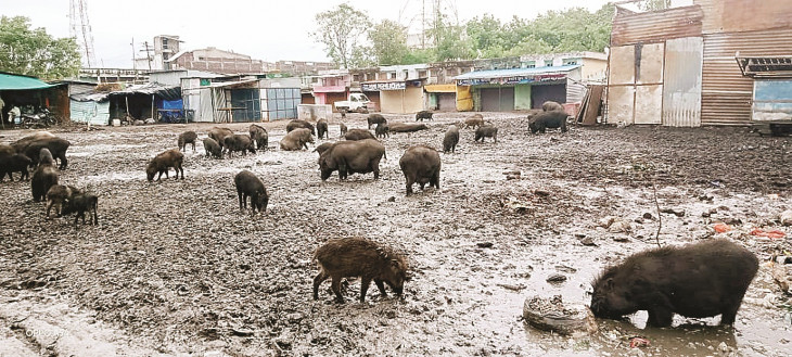 No place for weekly market in development framework