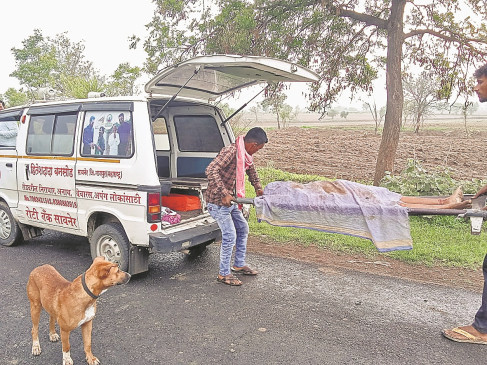 Old man dies after being hit by unknown vehicle
