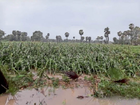 Protect crops from water logging in fields