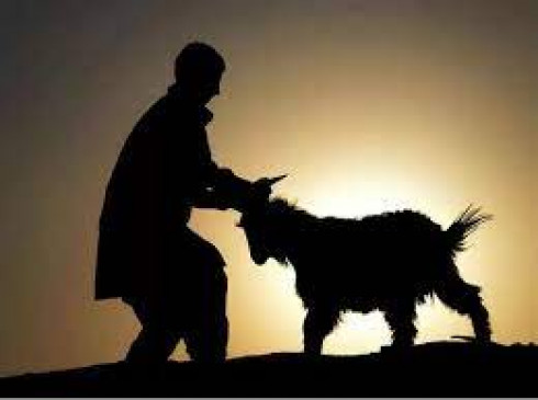 Sacrifice should be done only in the slaughterhouse, how will the violation of rules be stopped