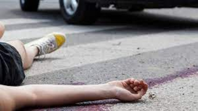 6 killed, one serious due to accidents in these districts
