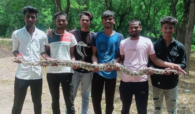 9 feet python found in MIDC of Amravati 9 feet python found in MIDC of Amravati