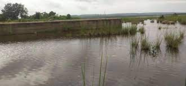 Cracks are falling in Ghorajhari canal, residents said to clean drains too