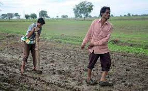 Fake insecticides being sold at some agricultural centers of Daryapur