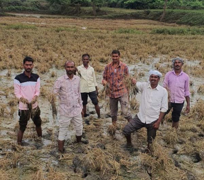 gadchiroli in natural calamity soaked farmers eyes