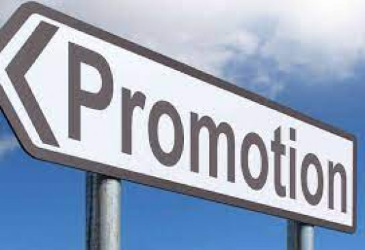 Promotion of 19 employees of Zilla Parishad Promotion of 19 employees of Zilla Parishad