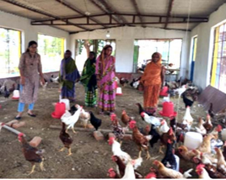 Raigad: Women of the group giving new identity to rural entrepreneurship