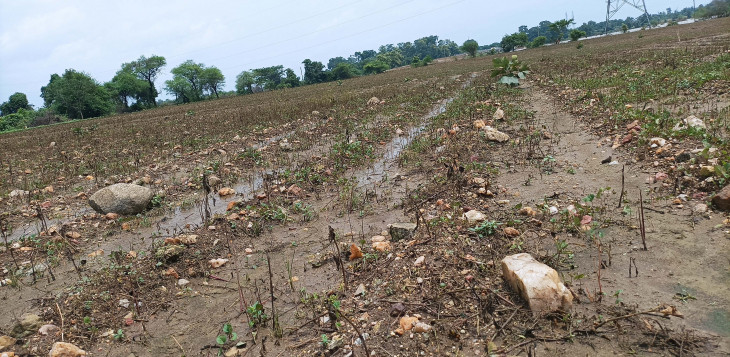 Stones and flood debris visible in the fields