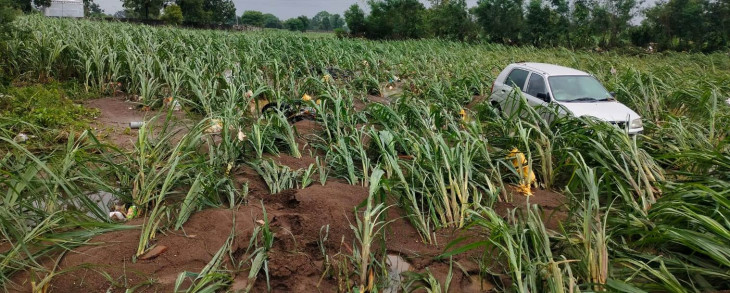 नागपुर जिले में 339 करोड़ की फसल बर्बाद, किसानों का भारी नुकसान