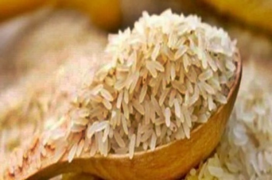 टूटे चावल पर निर्यात नीति को मुक्त से निषेध में संशोधित किया गया