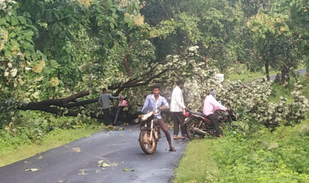 Heavy rain with strong winds in Dharani Heavy rain with strong winds in Dharani