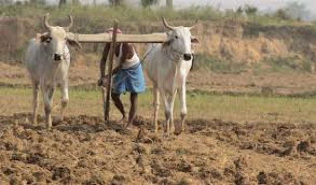Help: Relief to 18 farmer families who committed suicide Help: Relief to 18 farmer families who committed suicide