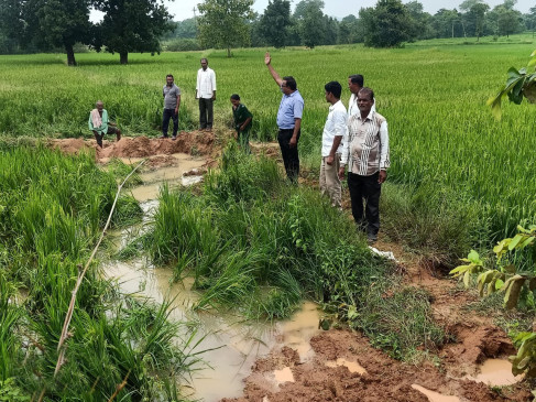 Now the riot of wild elephants in Kurkheda