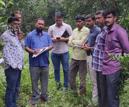 The district committee took stock of the damage caused to the orange The district committee took stock of the damage caused to the orange