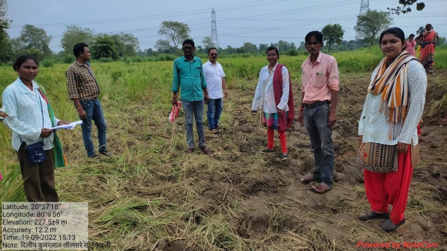 Wild elephants being attracted to the fields by the smell of paddy Wild elephants being attracted to the fields by the smell of paddy