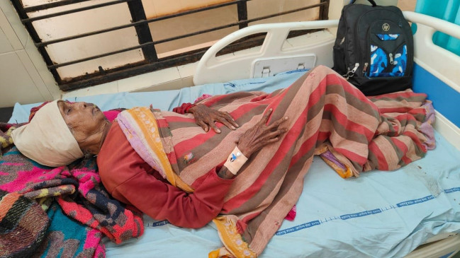 Elephant disaster, 80-year-old old woman was thrown away, woman serious