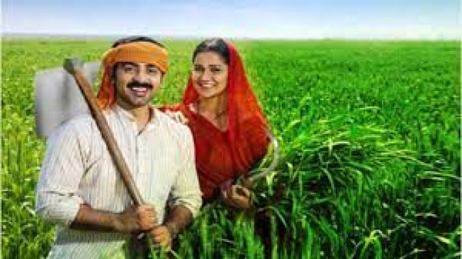 Fruit-crop insurance for the economic stability of farmers