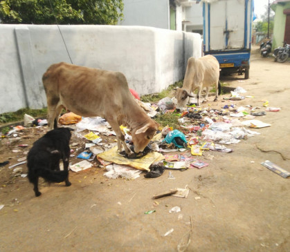 सडक़ किनारे लग रहे कचरों के ढेर, त्यौहार के सीजन में फेरा बढ़ाने की जरूरत सभी गलियों में नहीं पहुंच रहे कचरा वाहन