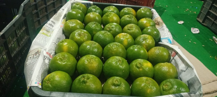 Import duty doubled in two years, exporter CNF is not getting LC