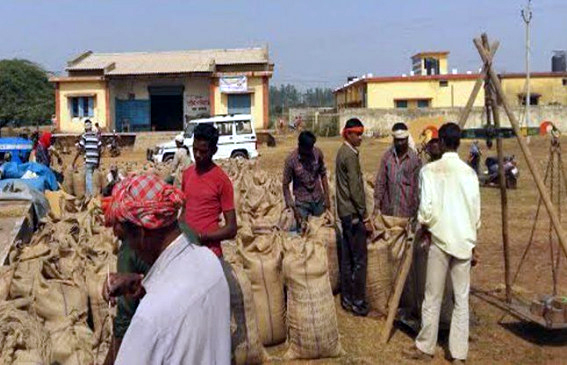 Paddy being sold in the open market at Rs 15 per fort