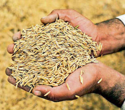 Paddy procurement center closed till now, farmers wandering from door to door Paddy procurement center closed till now, farmers wandering from door to door