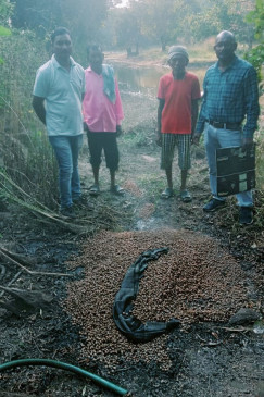 Raid on distilleries running in the forest of Artatondi