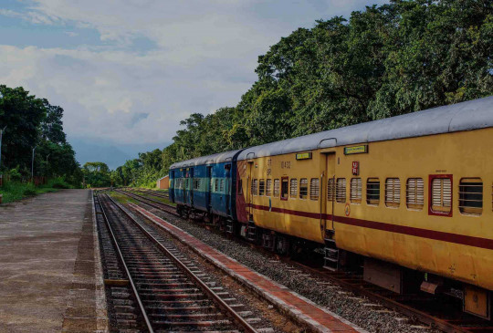 Train stopped in forest due to fault