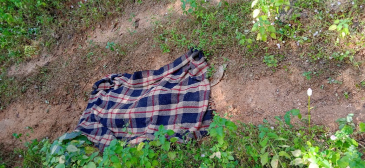 Two lost their lives in attacks of wild elephant and tiger