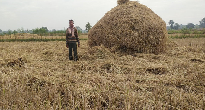 Elephants created havoc in the fields of Vitthalgaon