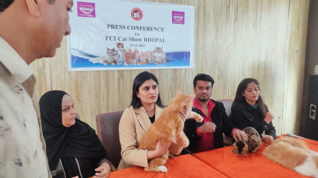 Feline Club of India (FCI) in association with Mars Petcare India to organize Championship Cat Show and Adoption Drive in Bhopal Feline Club of India (FCI) in association with Mars Petcare India to organize Championship Cat Show and Adoption Drive in Bhopal