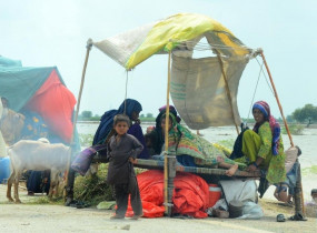 गर्मी की बाढ़ के बाद अब भी करीब 80 लाख पाकिस्तानी विस्थापित: राजनयिक
