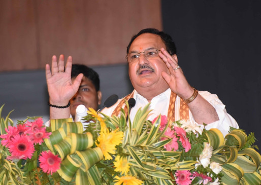 Know BJPs initiative: Nadda talks with Japanese delegation