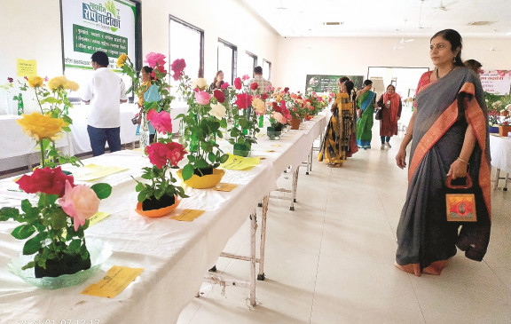 Apart from flowers of different species, decorative pots are included