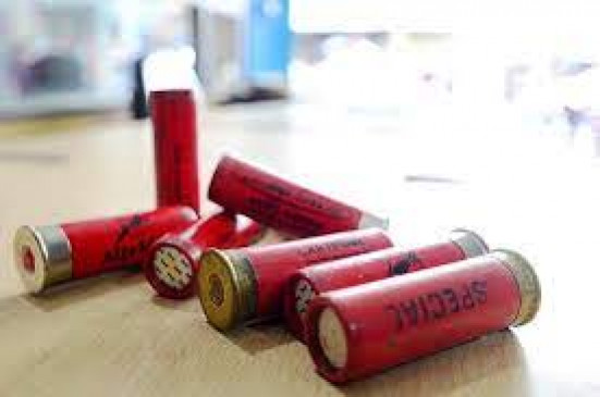 Arms Act case cannot be registered just because cartridges are found in the bag