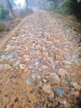 Big stones were put instead of soil in the name of Pandhan road