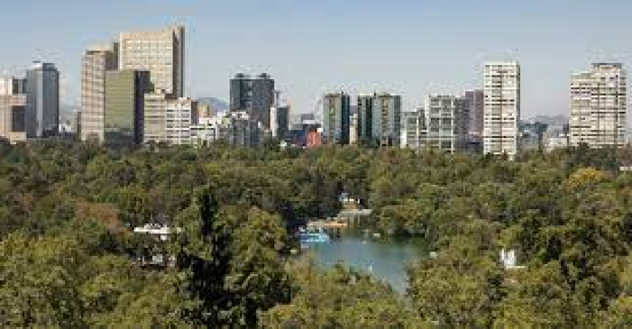 Campaign to plant five thousand banyan trees in Mumbai this year