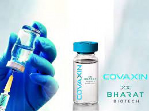 Covaxin available till 31 January, Covishield only till 4 February Covaxin available till 31 January, Covishield only till 4 February