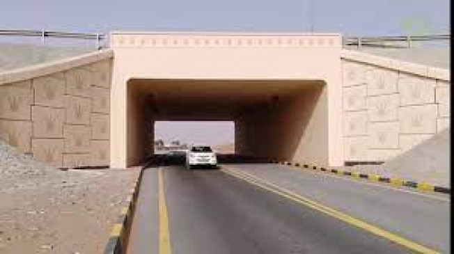 Demand to make underpass near Kanheri Gawli turn on the highway