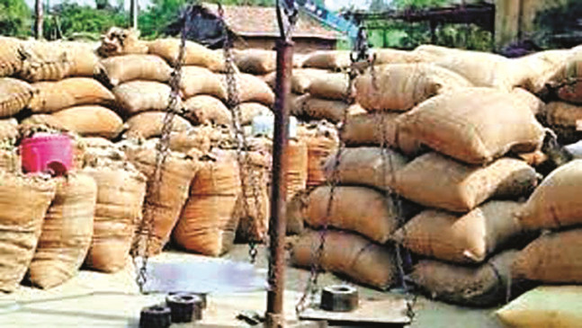 Farmers will be able to sell paddy till 31 at government centers