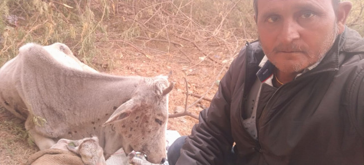 Gausevak Chanakya Rackwar gave birth to a cow suffering from Lumpy virus