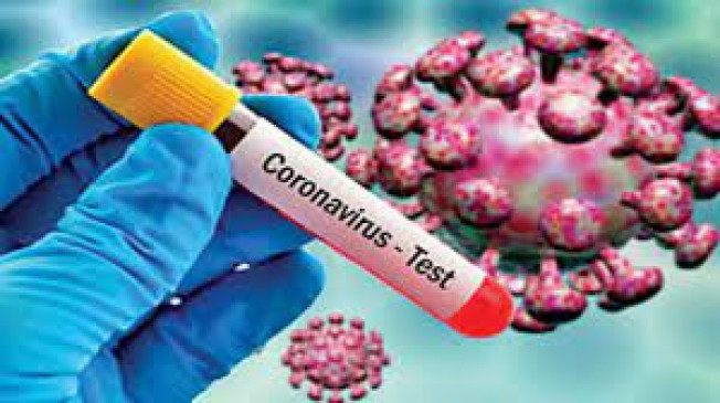 No corona infected found in Washim district