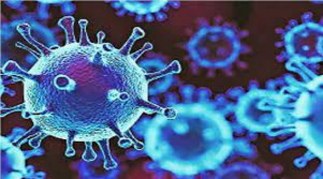 No corona positive found in Washim district