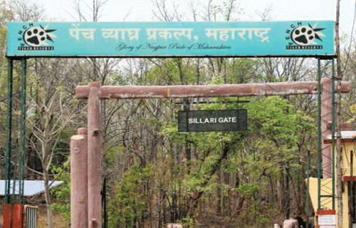 Pench tiger project will generate electricity