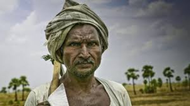 250 acres of fields are lying barren for three years