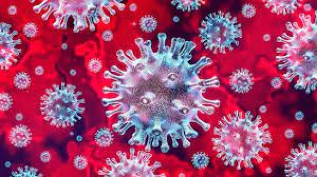 5 new infected in Washim district, 3 discharged from hospital