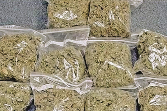 Caught three with cannabis worth 11 lakhs